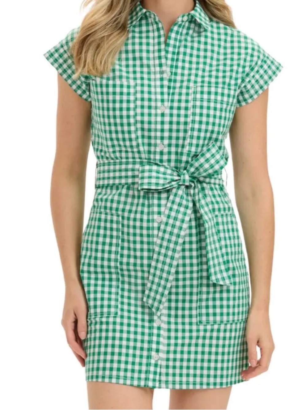 Renwick Gingham Caddie Tie-Waist Dress in Green & White Size XL